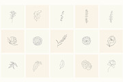 Hand Drawn Floral Elements. Frames, a Seasonal Illustration by Designwork (Thumbnail 7 of 22)