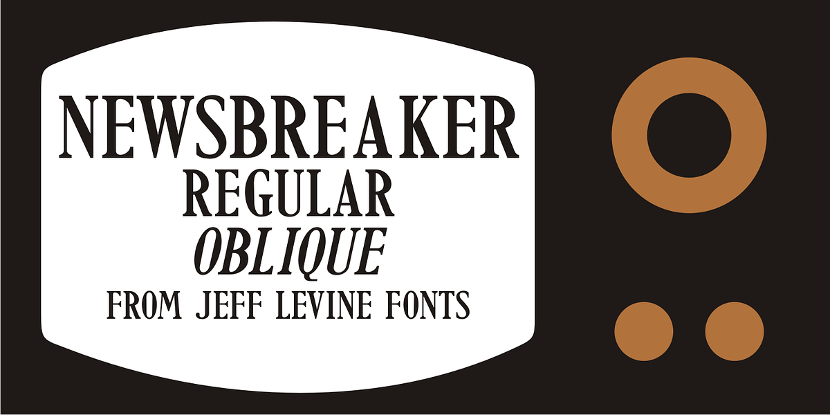 Newsbreaker JNL, a Slab Serif Font by Jeff Levine Fonts