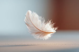 Delicate white feather gently floating in a serene and soft background, a Photo by AlyaAnd