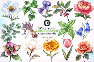 Watercolor Vintage Botanical Clipart, an Illustration by Canvas Craft