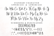 Romantic Promise, a Handwritten Font by FreshTypeINK (Thumbnail 7 of 8)