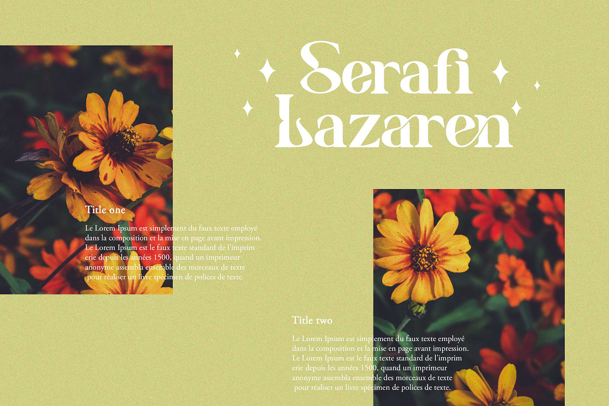 Benogi - Retro Serif Font, a Serif Font by Flawless And Co (Photo 5 of 12)