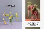 Bloom Atelier | 345 stock images, a Nature Photo by Tale.Haus (Thumbnail 9 of 20)