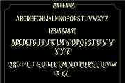 ANTENNA, a Serif Font by Khoir (Thumbnail 3 of 9)