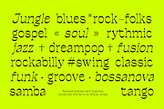 Ronders Reverse Contrast Font, a Serif Font by Genetype (Thumbnail 6 of 10)