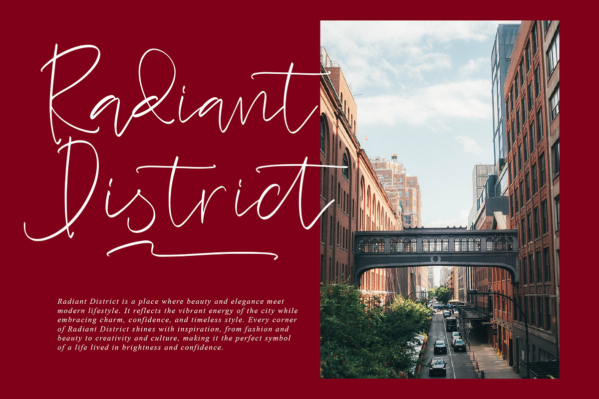 Briliant Diamond, a Script Font by operatype.co (Photo 11 of 15)