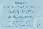 Michiana Pro, a Script Font by BluHead Studio (Thumbnail 6 of 9)