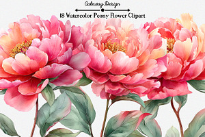 Watercolor Peony Flower Clipart, an Illustration by GatewayDesign