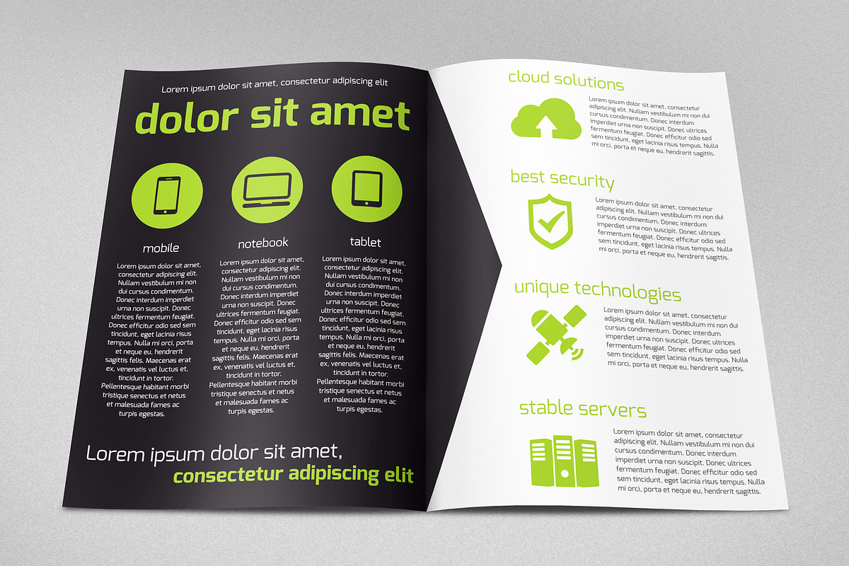 Bi-fold Web Solutions A4 Brochure, a Brochure Template by buttonpl (Photo 2 of 4)