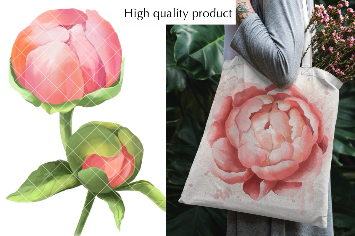Peonies. Beautiful flowers, a Decorative Illustration by NastyaKim (Photo 4 of 6)