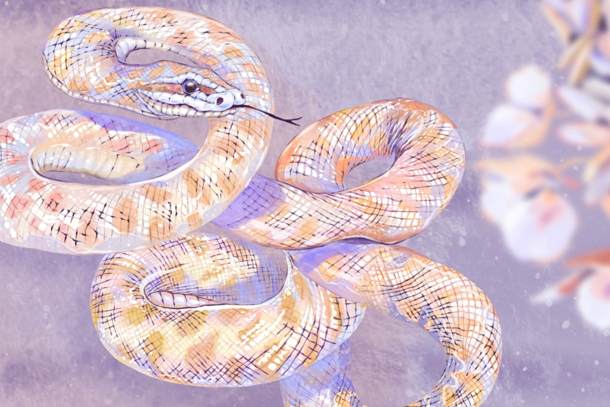 Snake Hydrangeas Garden Clipart, a Decorative Illustration by Shabbypie (Photo 14 of 20)