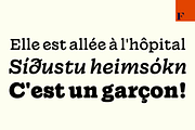 Wonder, a Serif Font by Fenotype (Thumbnail 11 of 15)