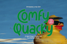 Comfy Quacky | Display Hand Drawn