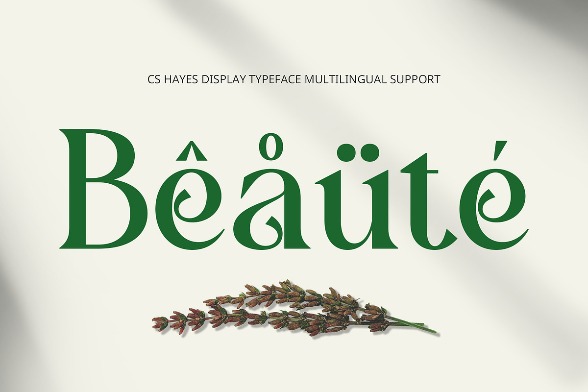 CS Hayes – Art Nouveau Font, a Serif Font by Craft Supply Co. (Photo 3 of 8)