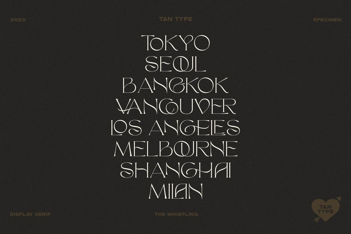 TAN - The Whistling, a Serif Font by TanType (Photo 12 of 35)