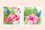 Tropics.Watercolor collection, an Animal Illustration by Ekaterina Mikheeva (Thumbnail 7 of 7)