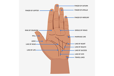 Palmistry. Open hand lines and symbols mystical reading vector illustration