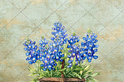 Bluebonnets in Texas Watercolor, an Object Graphic by NeatGrafix (Thumbnail 8 of 10)