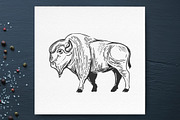 Vintage bison engraving + package, an Animal Illustration by 1baranov (Thumbnail 2 of 2)