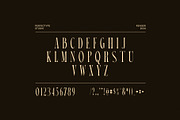 Renger Elegant Serif Font, a Serif Font by Perfectype (Thumbnail 8 of 8)