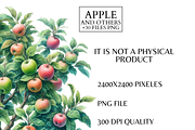 Apple Clipart Set Watercolor PNG, a Food Illustration by VM PARTYS  BY TAIRUMA (Thumbnail 5 of 7)
