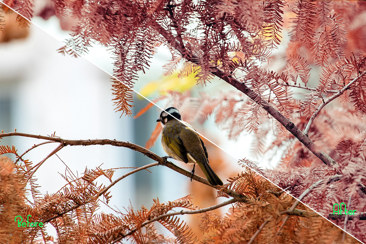 Autumn Photoshop Actions 110 Bundle, an Action Add-On by ARTNEST (Photo 6 of 11)