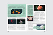 Botanical Newsletter Template, a Stationery Template by Amit Debnath (Thumbnail 4 of 7)