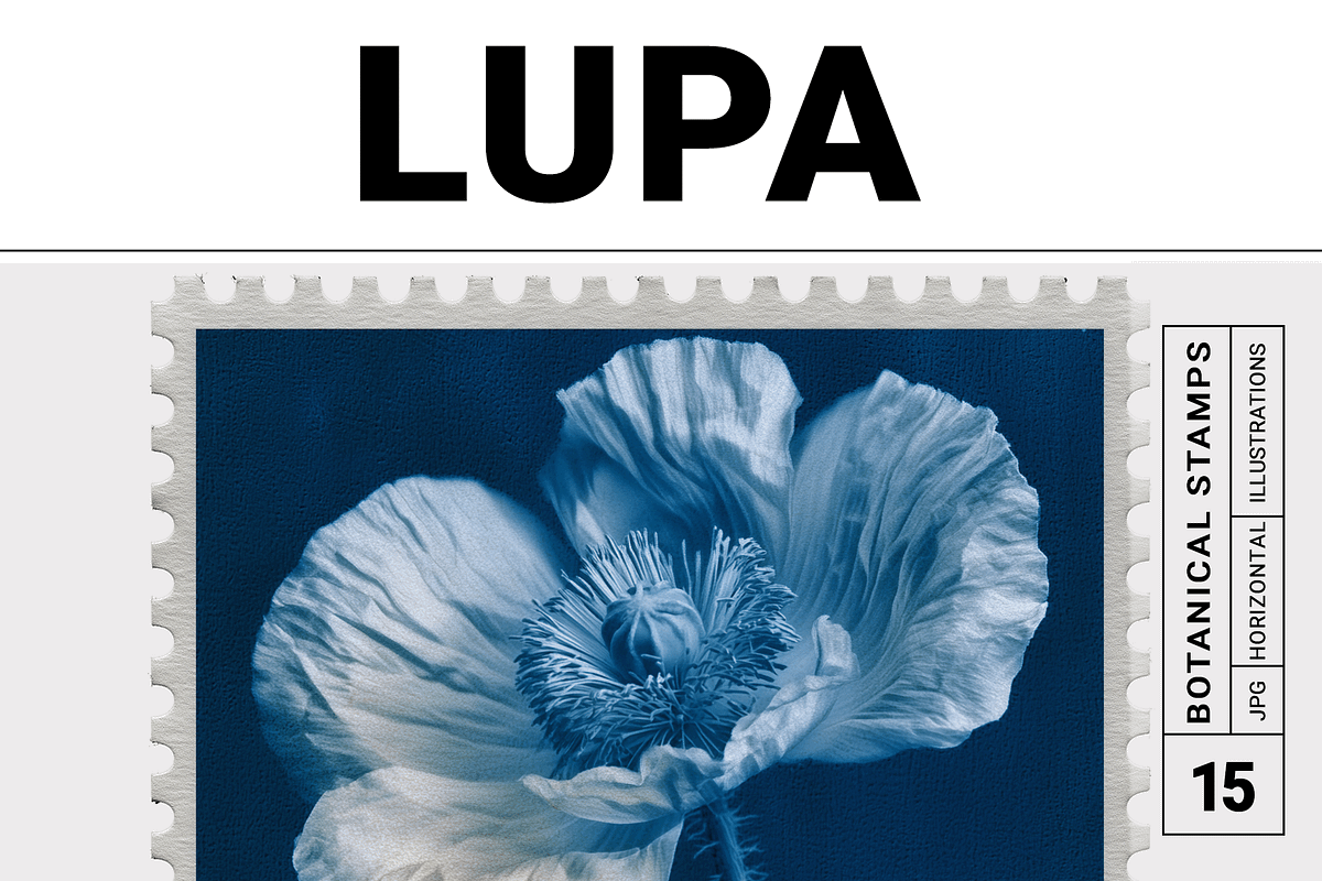Lupa Co · Cyanotype Botanical Stamps, a Texture Illustration by milatovar (Photo 1 of 18)