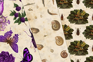 Vintage Naturalist Digital Paper