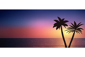 Silhouette of palm trees on a