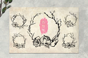 Magnolia flowers. Engraving style., a Decorative Illustration by Alena Kaz (Thumbnail 9 of 12)