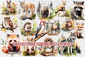 Watercolor Woodland Animals Clipart