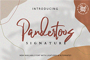 Pandertoos - Handbrush Signature, a Script Font by tebaltipislab (Thumbnail 1 of 11)