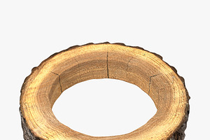 Wood Log Ring