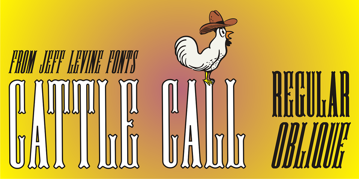 Cattle Call JNL, a Serif Font by Jeff Levine Fonts