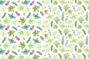 Vintage Provencal Herbs., a Food Illustration by Artspace (Thumbnail 3 of 4)