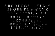 Portize Font, a Serif Font by Ultimate Font Store (Thumbnail 4 of 4)