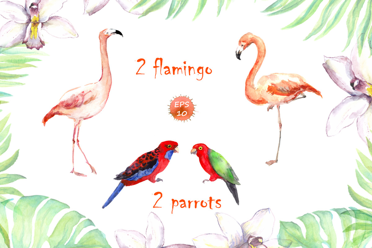 Exotic flowers watercolor clipart, an Animal Illustration by Where summer is (Photo 4 of 7)
