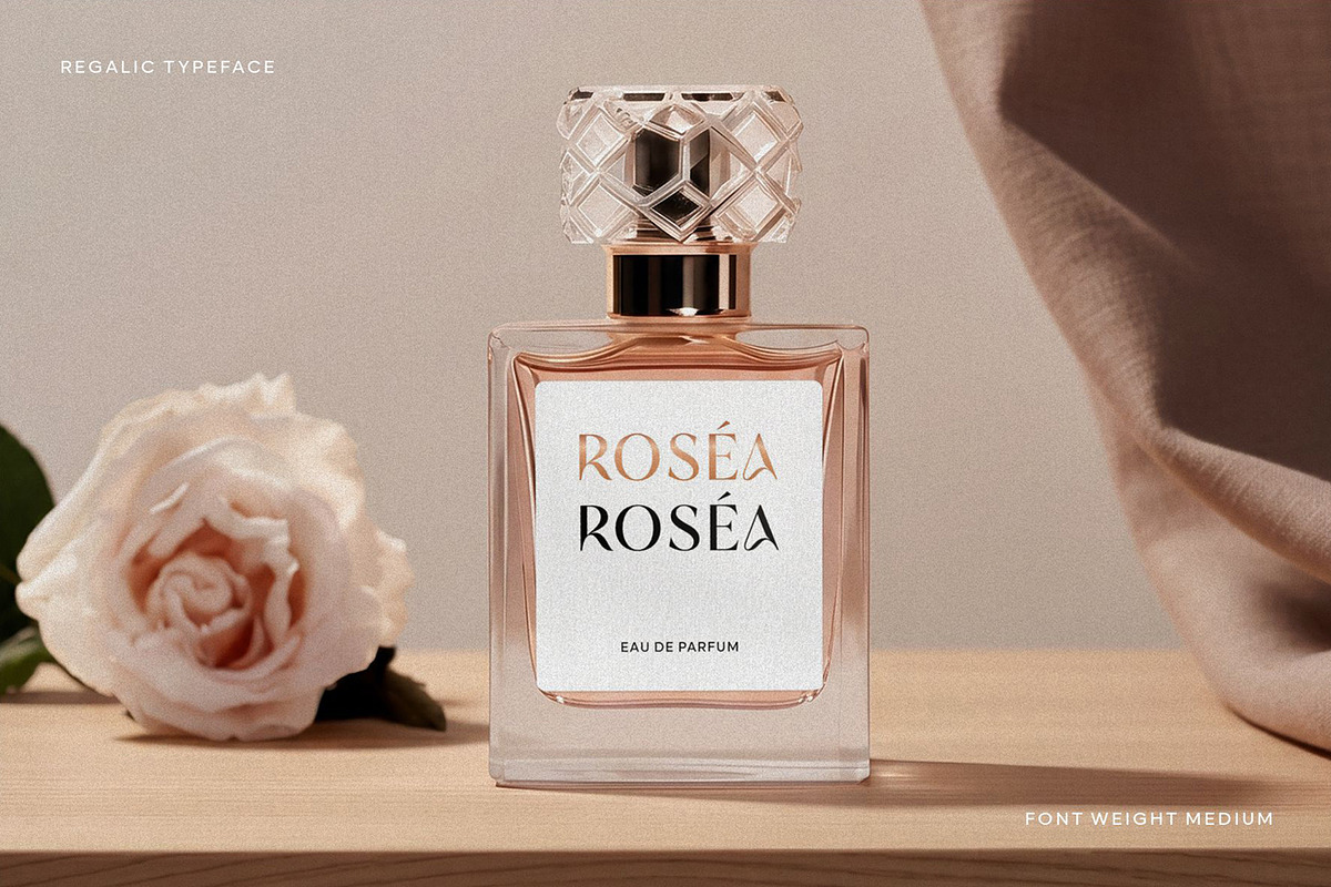 Regalic | Font Family, a Sans Serif Font by Digitype Studio (Photo 10 of 14)