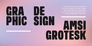 Amsi Grotesk, a Sans Serif Font by Stawix (Thumbnail 3 of 9)
