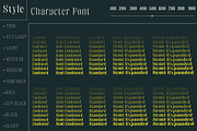 Fenoura, a Serif Font by Propertype (Thumbnail 5 of 10)