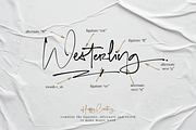 Signaturing - An Inky Handwritten, a Script Font by Nooh Space x Masa Fonts (Thumbnail 13 of 18)