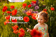 17 Poppie Flowers Photo Overlays