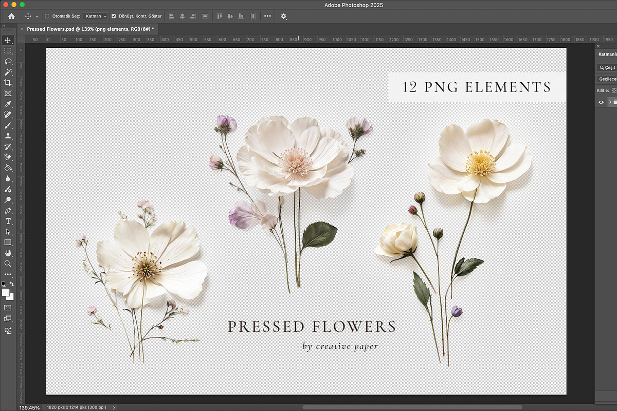 Pressed Flowers (Png) Elements, a Background Graphic by by creative paper (Photo 5 of 13)