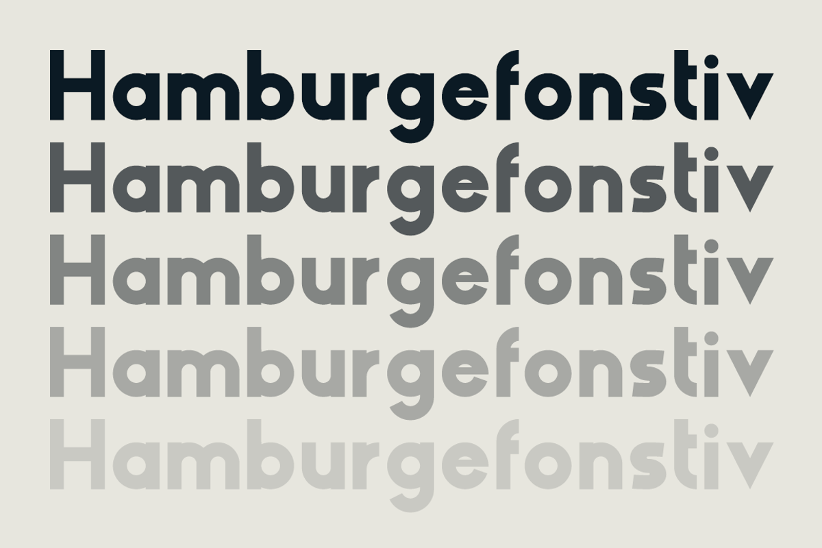 HAUS Sans Extra Bold, a Sans Serif Font by MARTINI Type Designer (Photo 2 of 5)