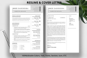 Simple Professional Resume/ CV