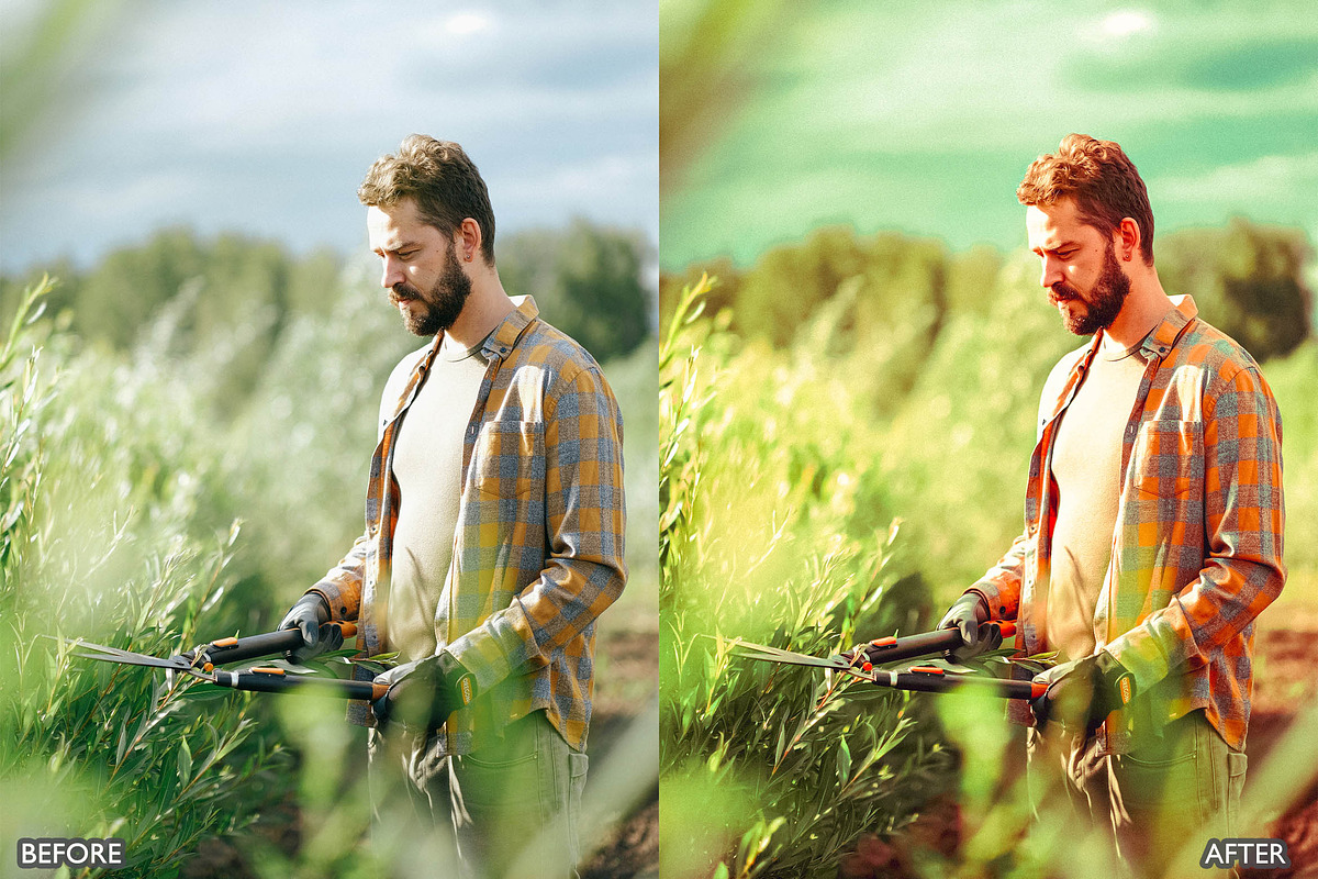 Steal Film Cinematic LR Presets, a Preset Add-On by AAA Presets (Photo 8 of 22)