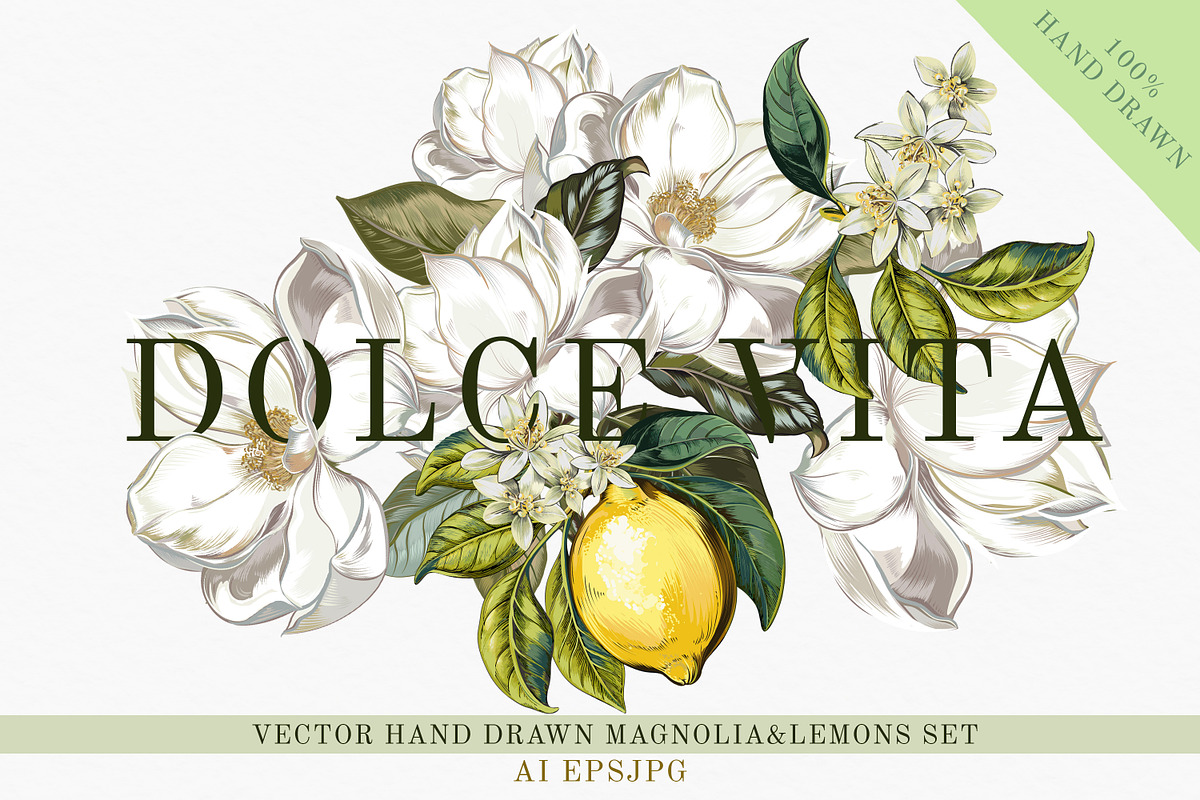 Lemons and Magnolia vector set, an Object Illustration by FleurArt (Photo 1 of 11)