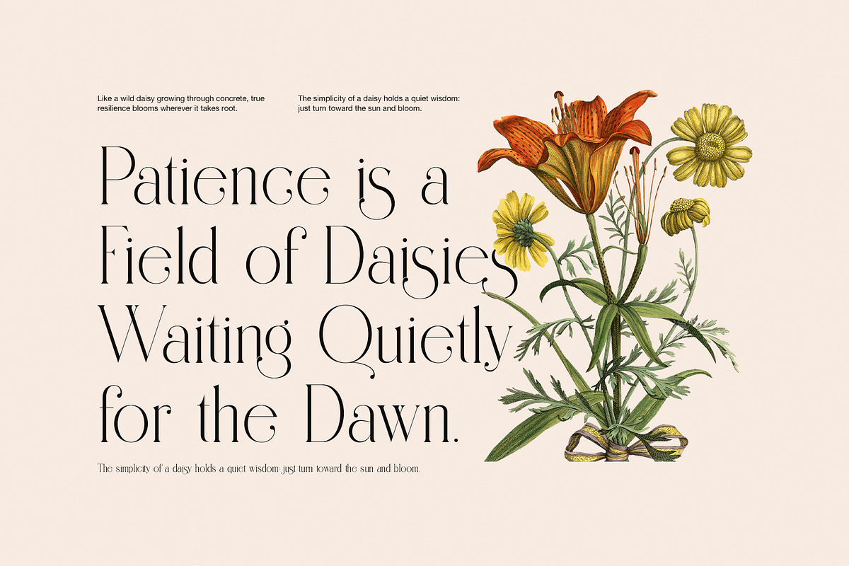 Sellang Elegant Serif Font, a Serif Font by Perfectype (Photo 4 of 8)