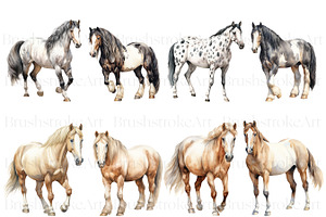 Watercolor Horse Clipart, Cute Horse